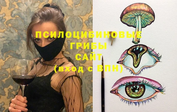 скорость Медвежьегорск