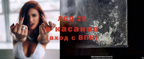 ГАЛЛЮЦИНОГЕННЫЕ ГРИБЫ Ростов