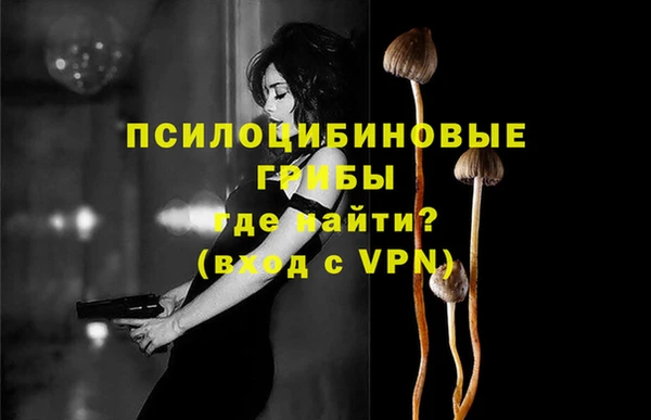 скорость Медвежьегорск