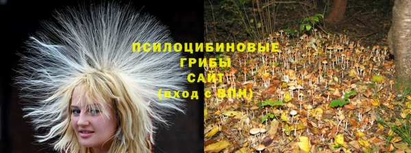 jwh Медногорск