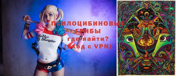 молекула духа Магас