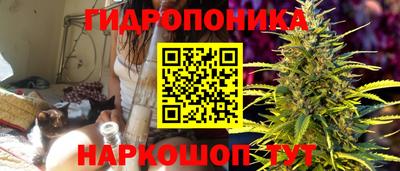 круглые Будённовск