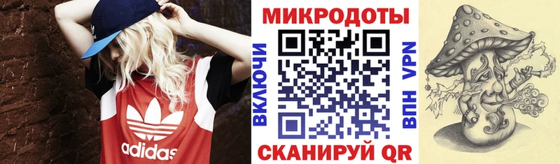купить  сайты  Карпинск  ОМГ ОМГ ссылки  Галлюциногенные грибы Psilocybe 