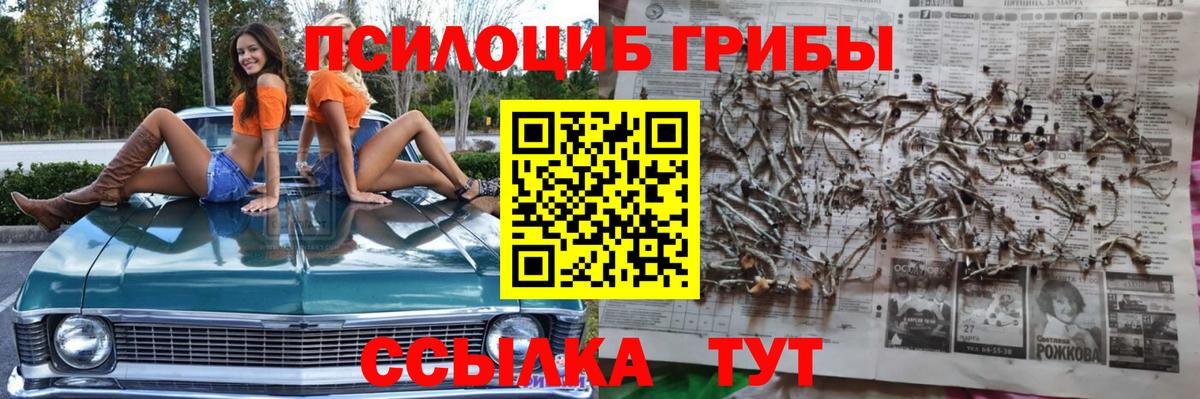 Псилоцибиновые грибы ЛСД  Вход с VPN  Карпинск 