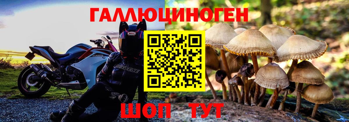 Галлюциногенные грибы ЛСД  Галлюциногенные грибы Psilocybe  Карпинск 